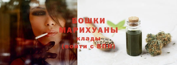 тгк Арсеньев