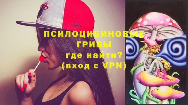 тгк Арсеньев