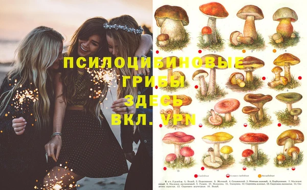 первитин Армянск